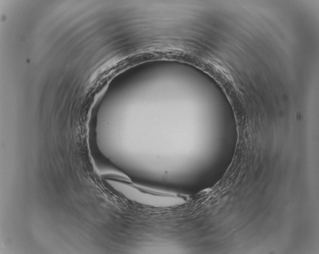 X0000087390920200704271618