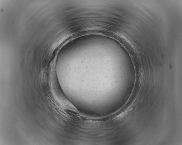 X0000087390921200704271618