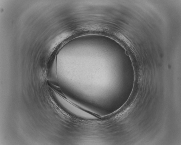 X0000087390922200704271618