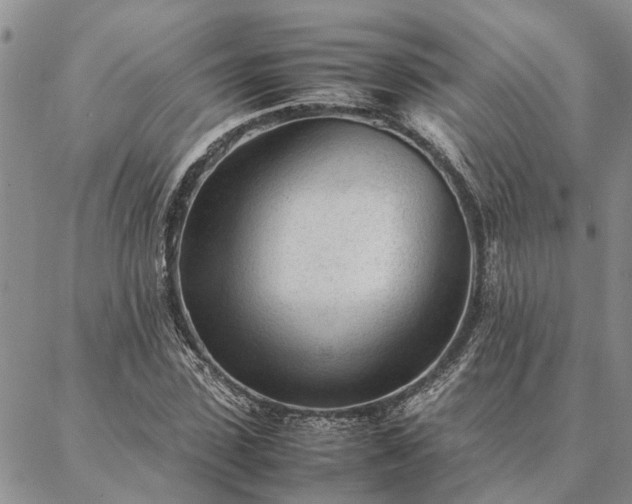 X0000087390923200704271618