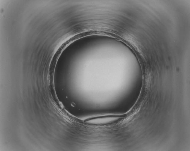 X0000087390924200704271618