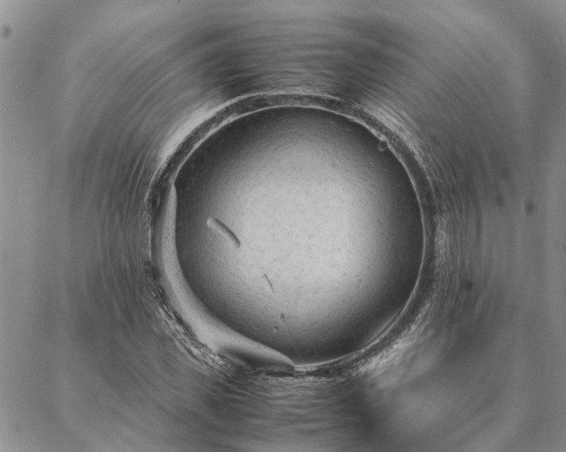 X0000087390925200704271618