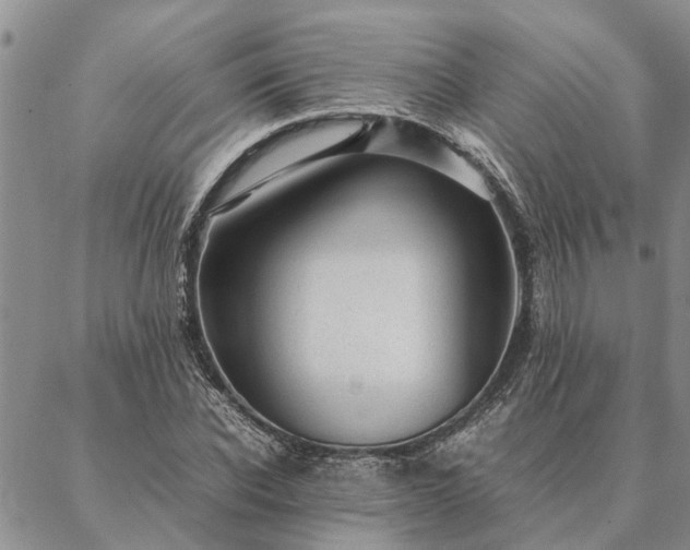 X0000087390926200704271618