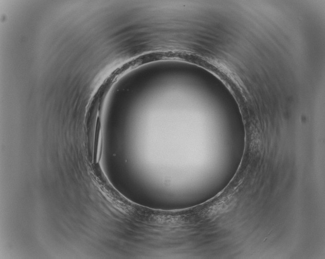 X0000087390927200704271618