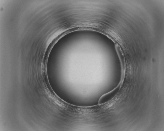 X0000087390928200704271618