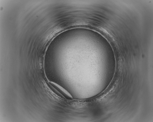 X0000087390929200704271618