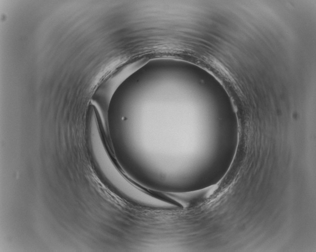 X0000087390930200704271618