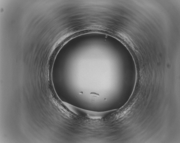 X0000087390931200704271618