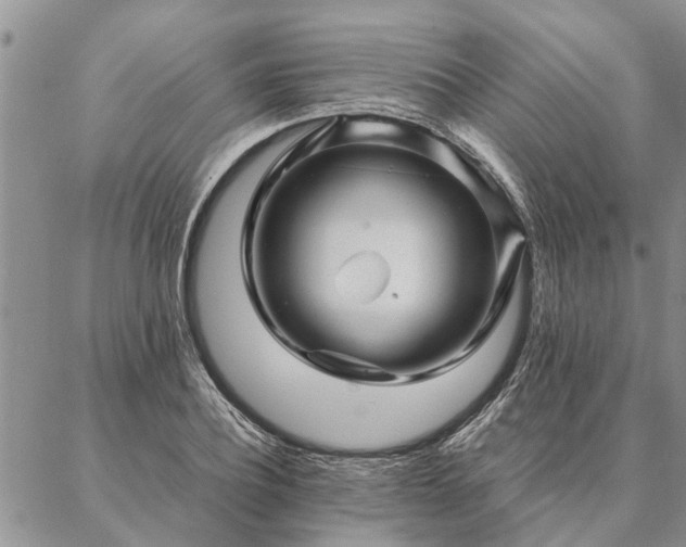 X0000087390932200704271618