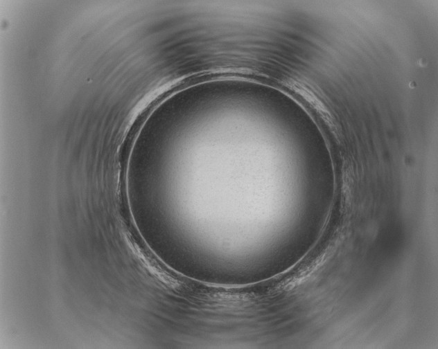 X0000087390933200704271618