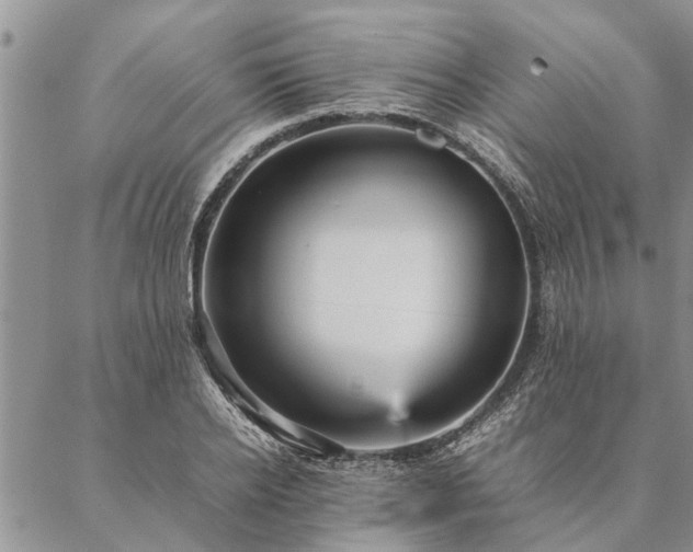 X0000087390934200704271618