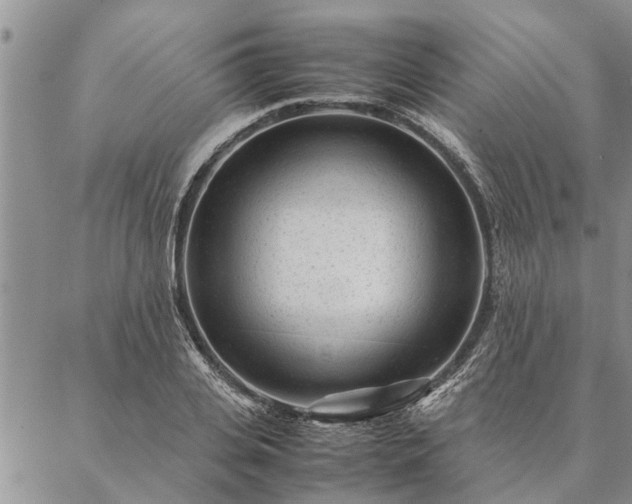 X0000087390935200704271618