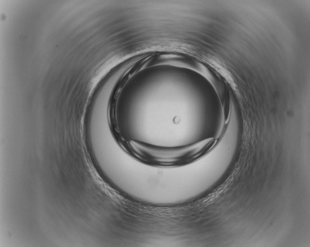 X0000087390936200704271618