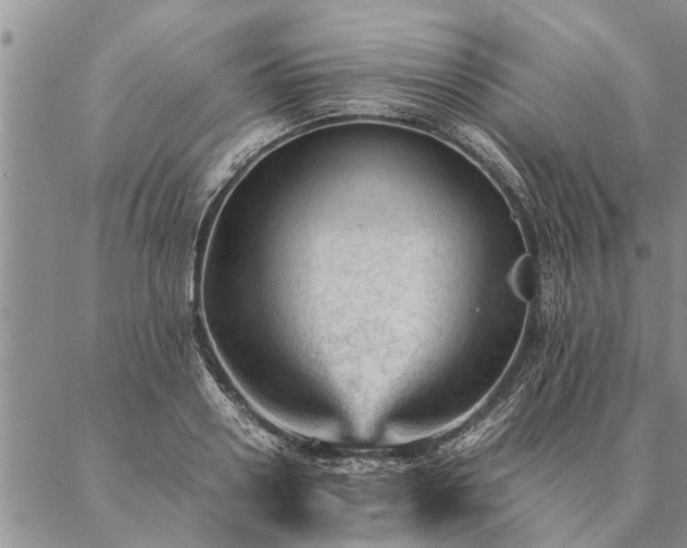 X0000087390938200704271619