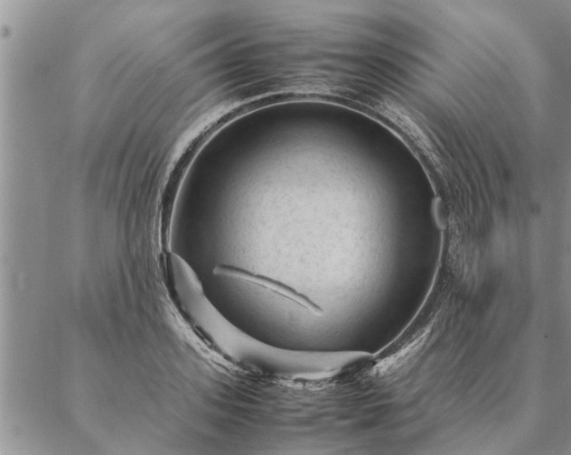 X0000087390939200704271619