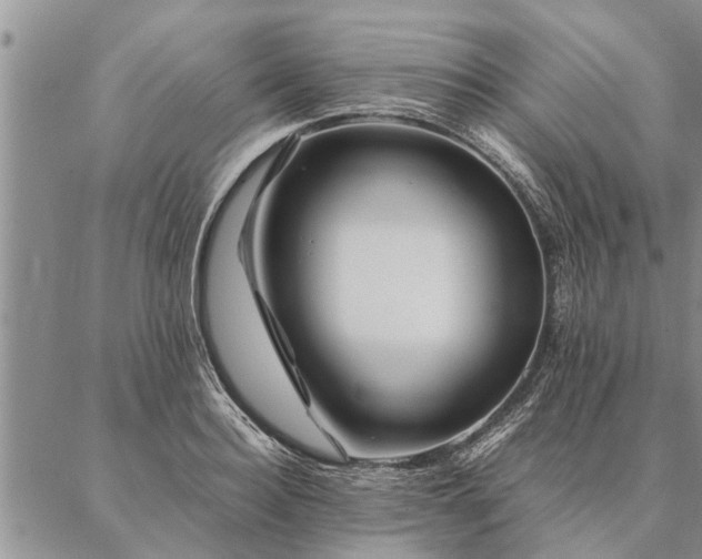 X0000087390940200704271619