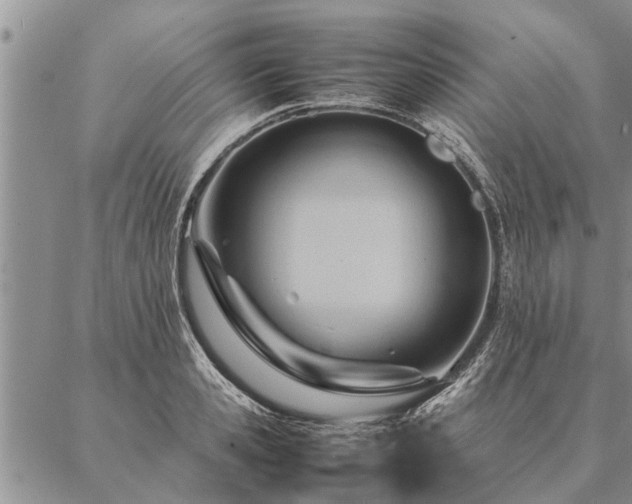 X0000087390941200704271619