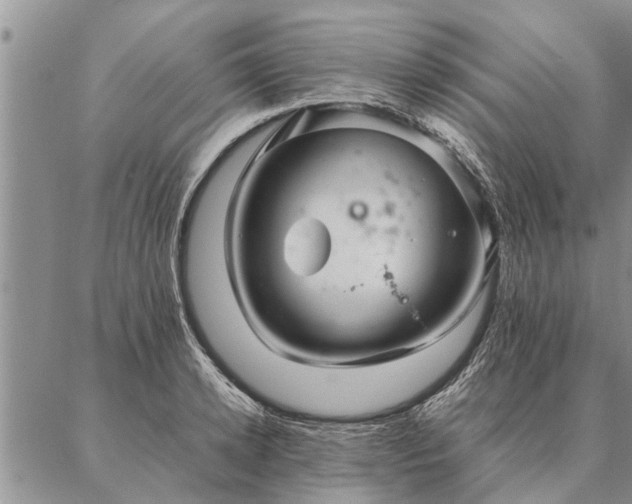 X0000087390942200704271619