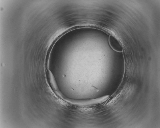 X0000087390943200704271619