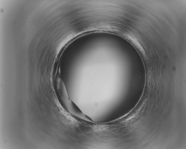 X0000087390944200704271619