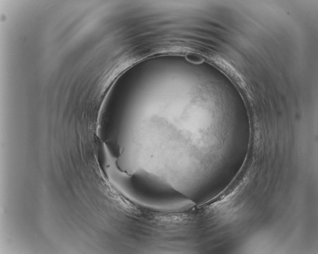 X0000087390945200704271619