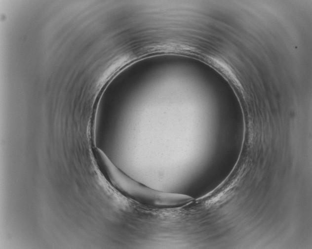 X0000087390946200704271619