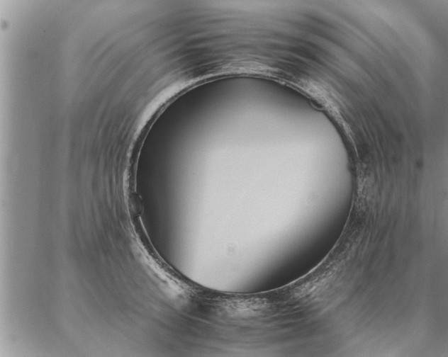 X0000087390947200704271619