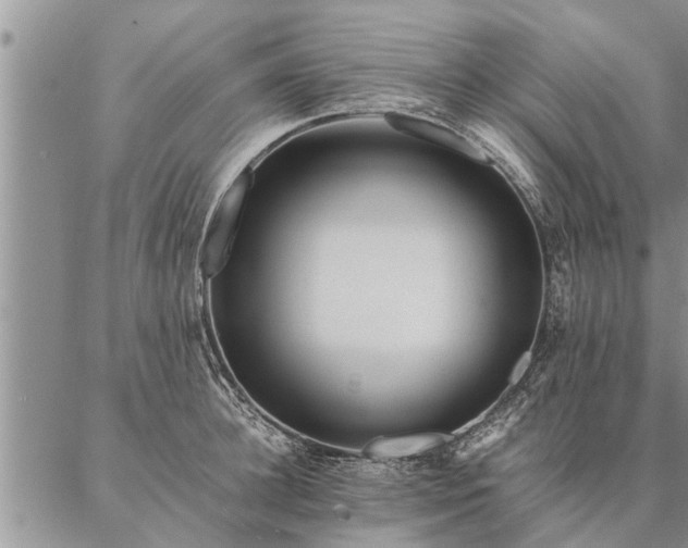 X0000087390948200704271619