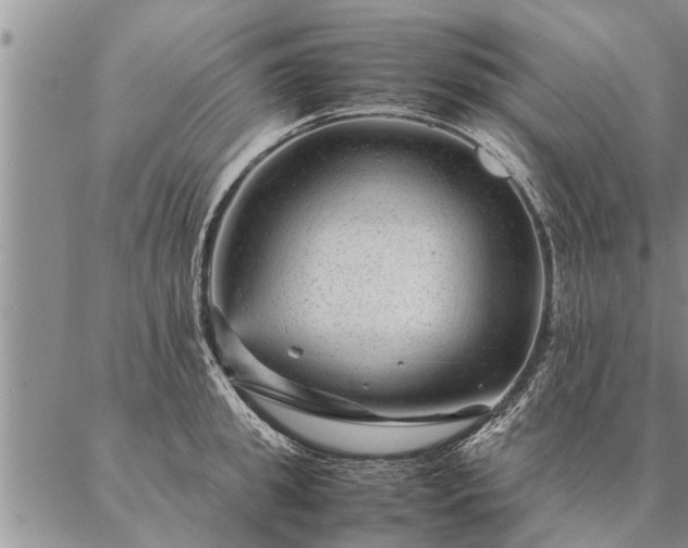 X0000087390949200704271619