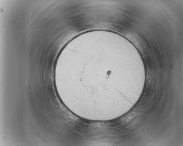 X0000087390950200704271619