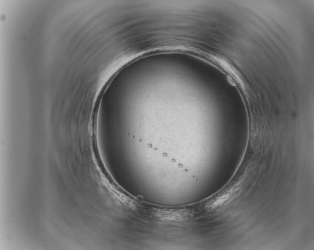 X0000087390951200704271619