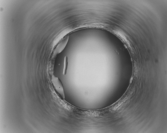 X0000087390952200704271619