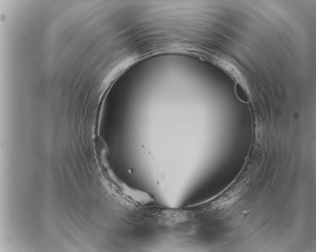 X0000087390954200704271619