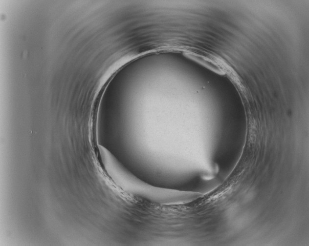 X0000087390955200704271619