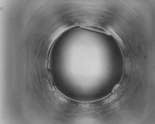 X0000087390956200704271619