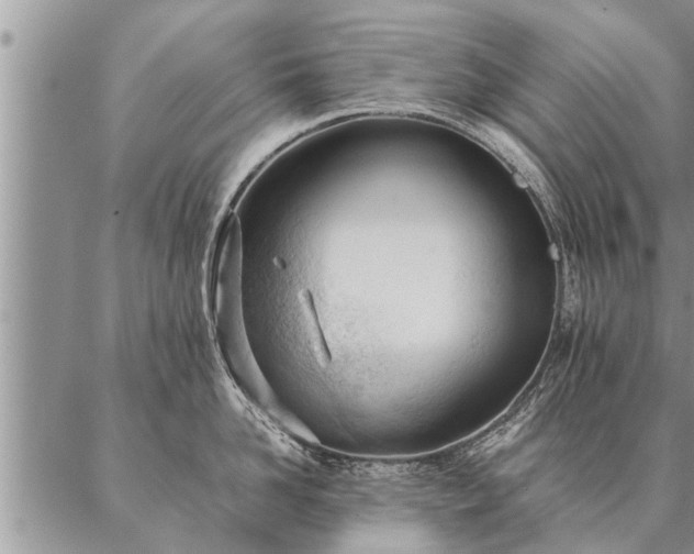 X0000087390958200704271619