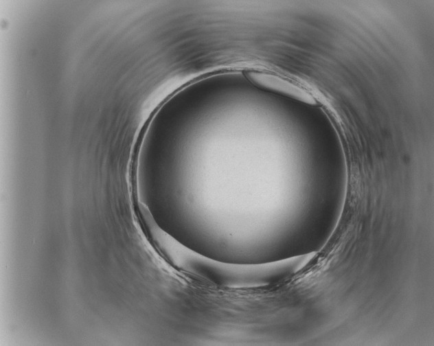 X0000087390959200704271619