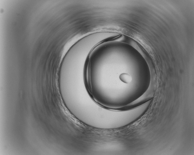 X0000087390960200704271619