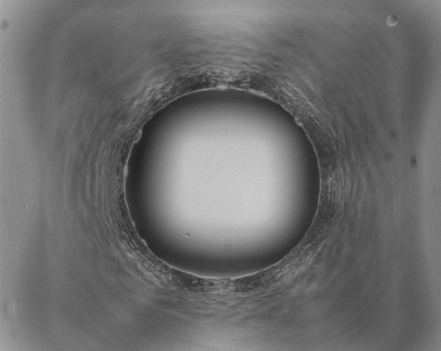 X0000087390961200704271618