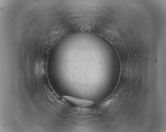 X0000087390962200704271618