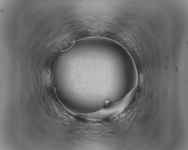 X0000087390963200704271618