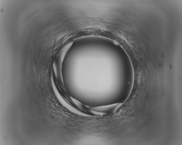 X0000087390965200704271618