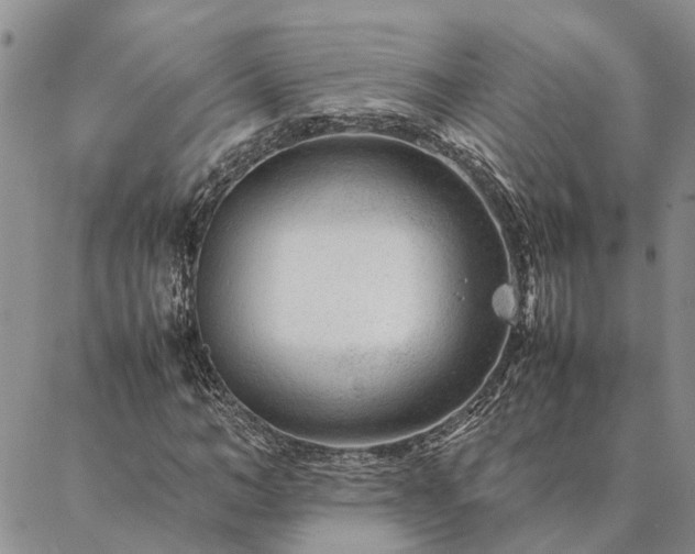 X0000087390966200704271618