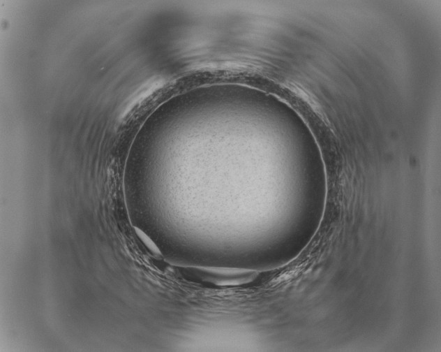 X0000087390967200704271618