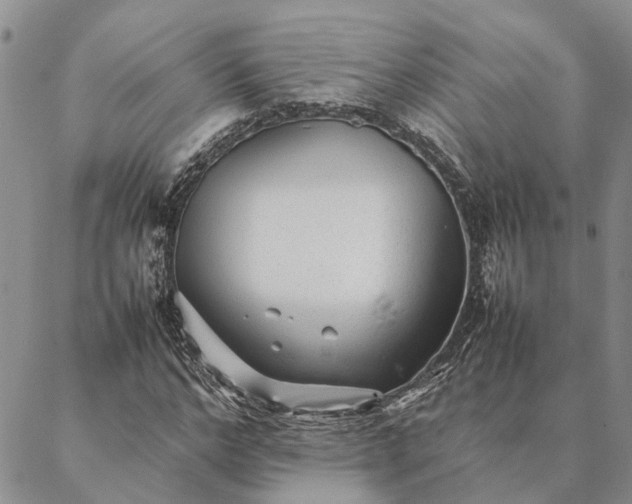 X0000087390968200704271618