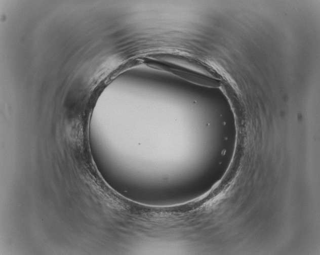 X0000087390969200704271618