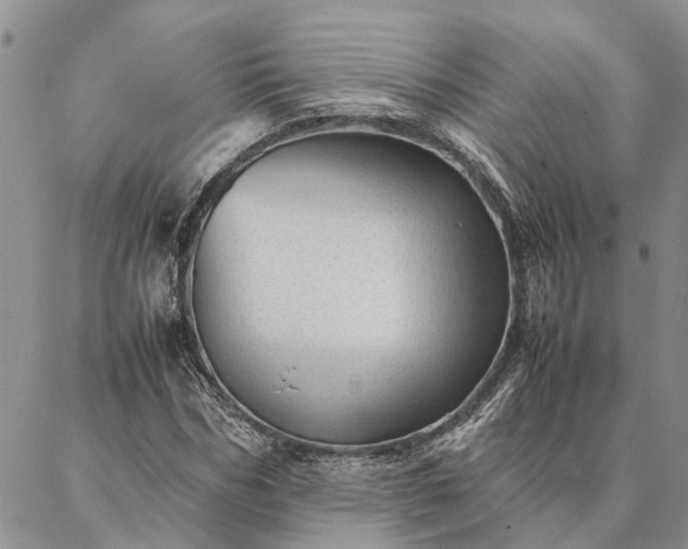 X0000087390970200704271618