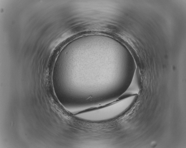 X0000087390971200704271618