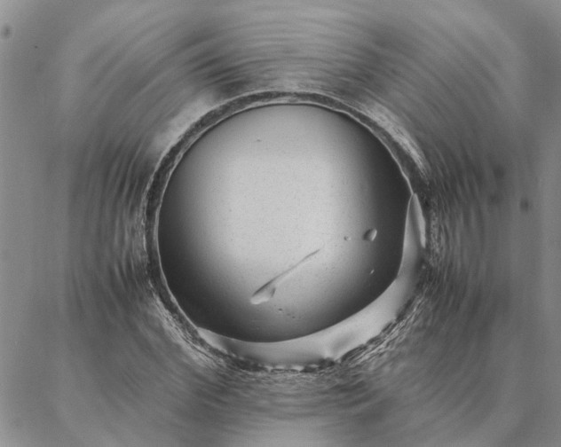 X0000087390972200704271618