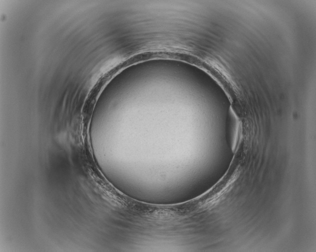 X0000087390974200704271618